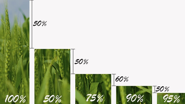Corn måler-min.jpg