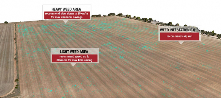 Kadina Weed Map